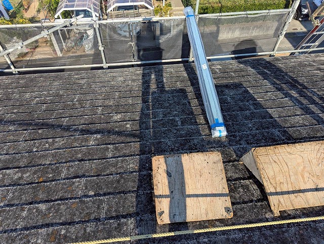 コケがはえたカラーベスト